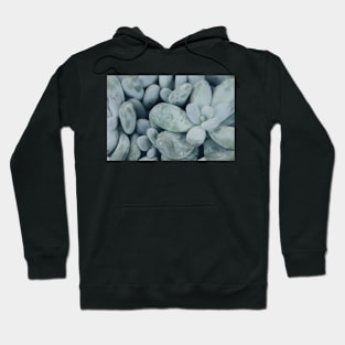 Moonstones Hoodie